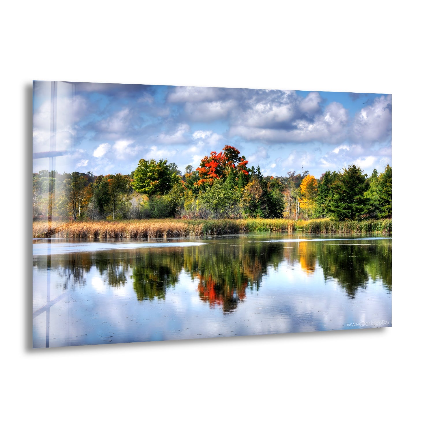 Autumn Reflections Scenic Forest Lake Glass Wall Art - Stunning Nature Decor for Living Room, Bedroom & Office