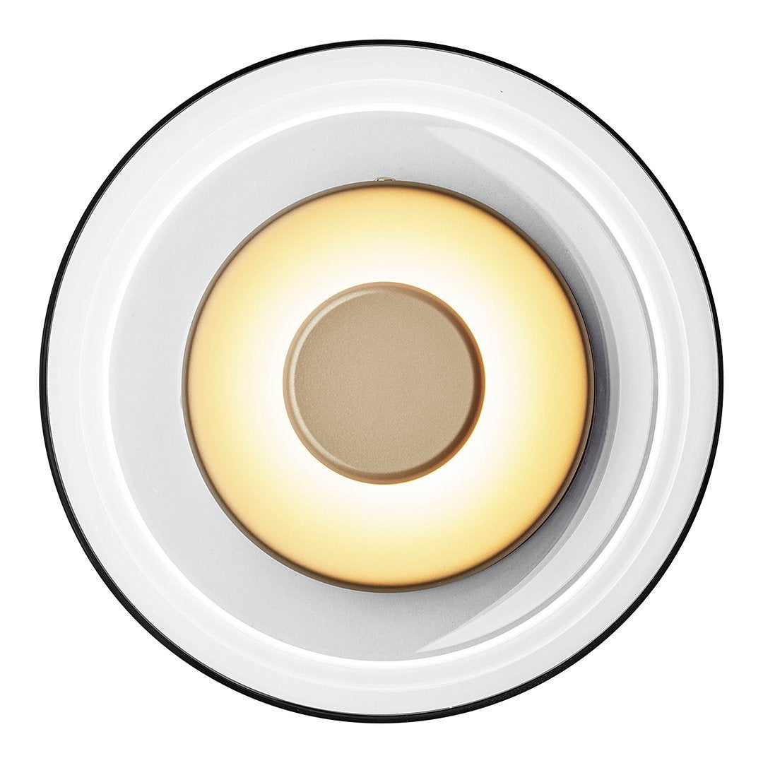 Blossi Modern Wall Sconce Light - Elegant LED Wall Lamp for Bedroom, Living Room, and Hallway - Perfect for Ambient Lighting and Home Decor
