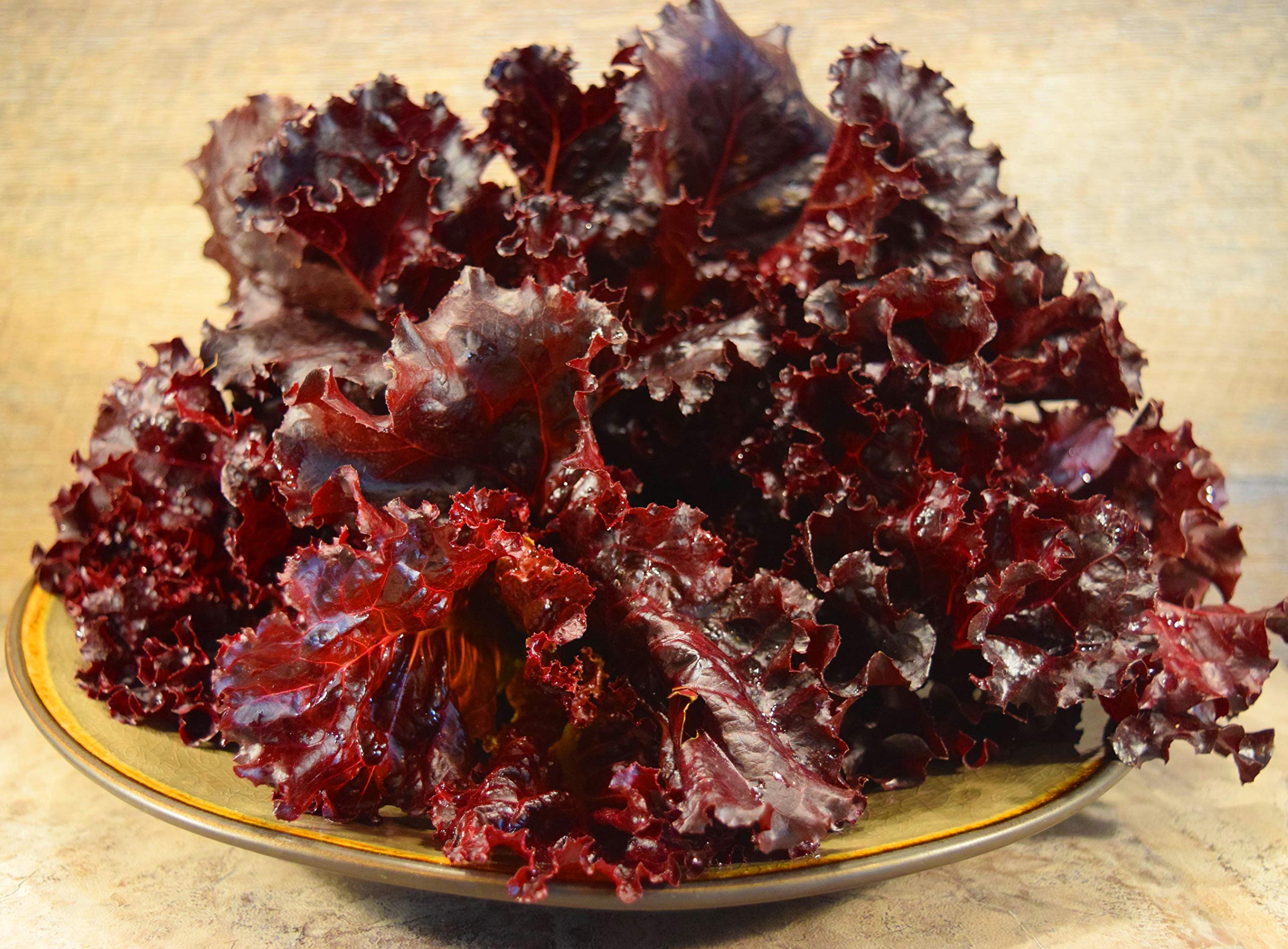 Beleah Rose Lettuce Seeds (250 Count) - Non-GMO, Heirloom Variety for Home Gardening, Salads & Fresh Eating
