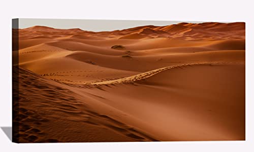 Dessert Sand Dunes