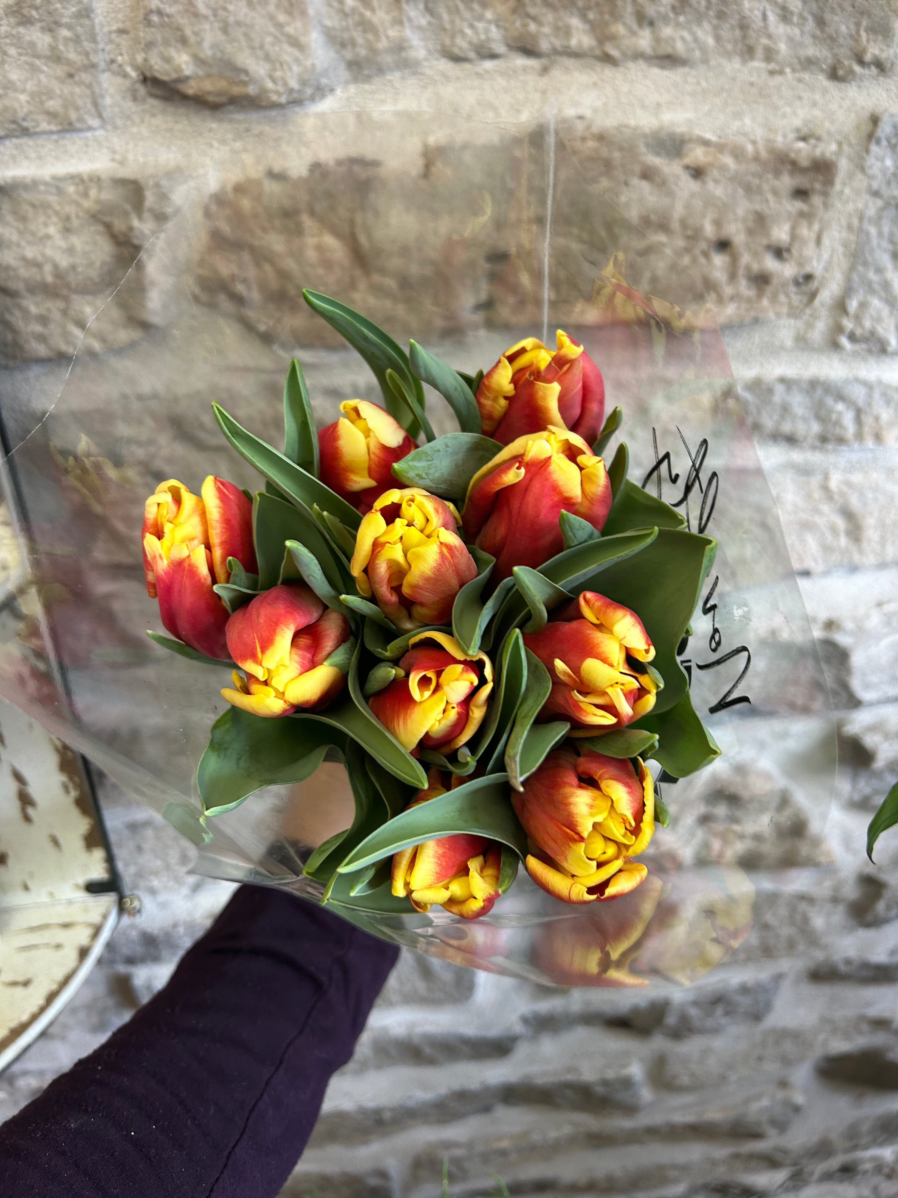 Parrot Tulips - Exotic Colorful Flower Bulbs for Garden Planting & Floral Arrangements | Perfect for Spring Gardens, Wedding Bouquets & Home Decor
