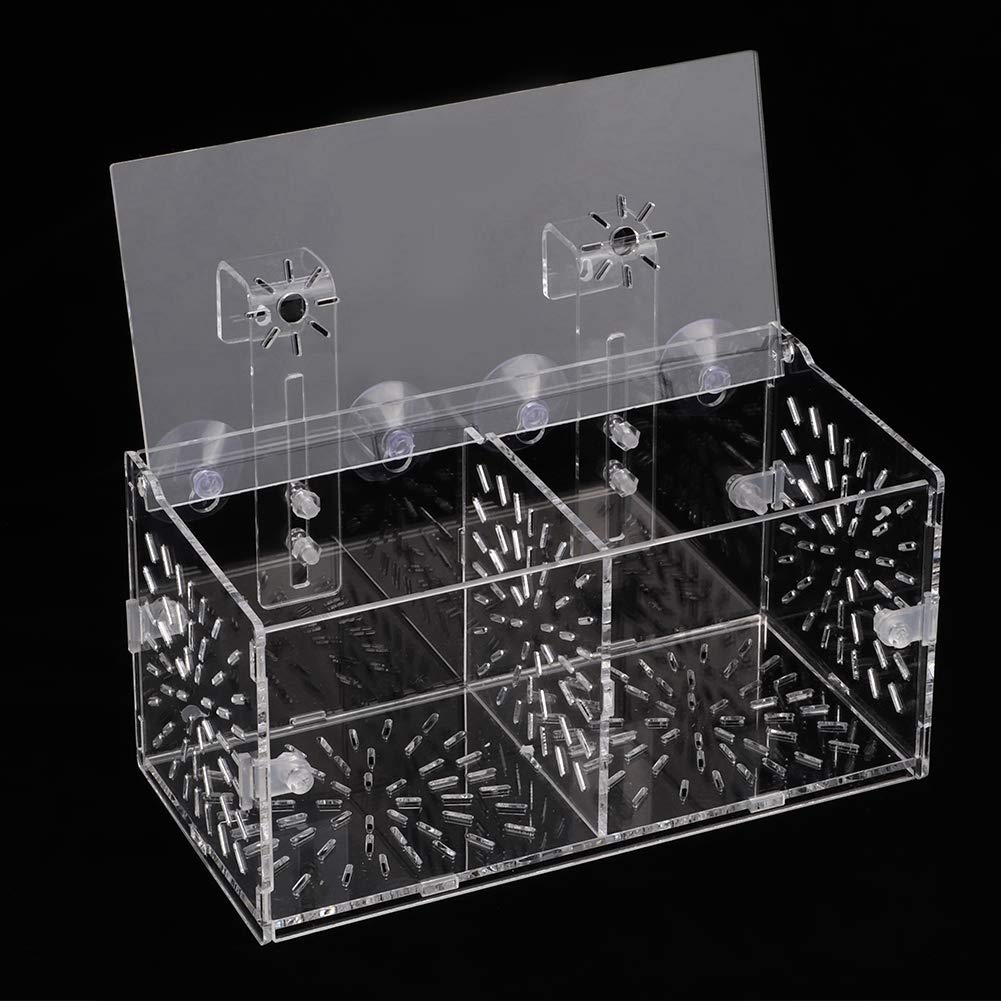 Rosvola Transparent Fish Isolation Box - 20cm x 10cm x 10cm Aquarium Hatchery for Fish Breeding, Egg Incubation & Fry Protection | Perfect for Freshwater & Saltwater Tanks, Hospital Tanks, and Breeding Tanks