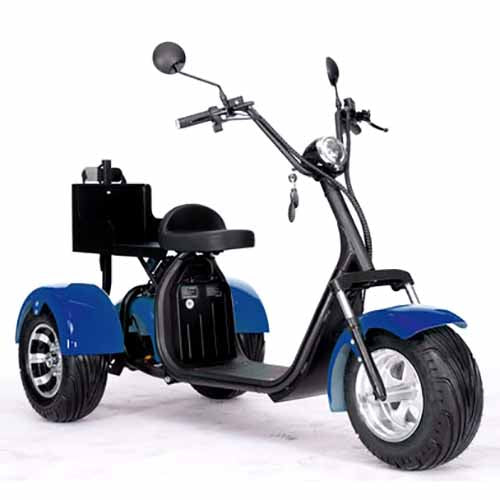 2000W 60V Electric Fat Tire Trike - 3 Wheel Scooter Moped Bike with Golf Rack, Similar to CityCoco Bike CT 3G - Perfect for Commuting, Golf Course Transport & Urban Adventure