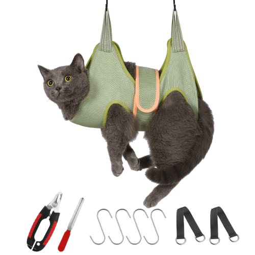 Xs（weight：under 12lb）