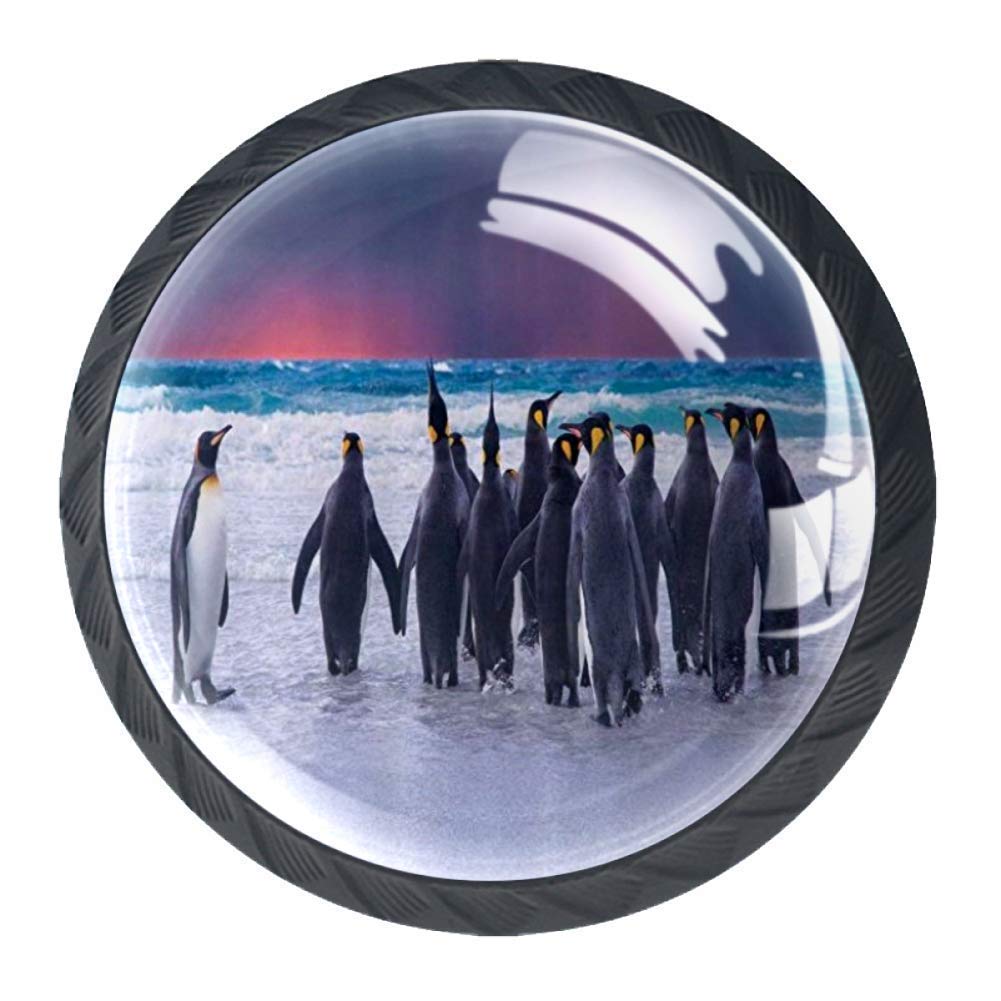 4-Pack King Penguins on Shoreline Kitchen Cabinet Knobs - Sandy Beach Waves with Dramatic Sky Design - Dresser Drawer Door Pulls & Cupboard Handles with Screws - Perfect for Coastal Themed Kitchens & Bathroom Decor