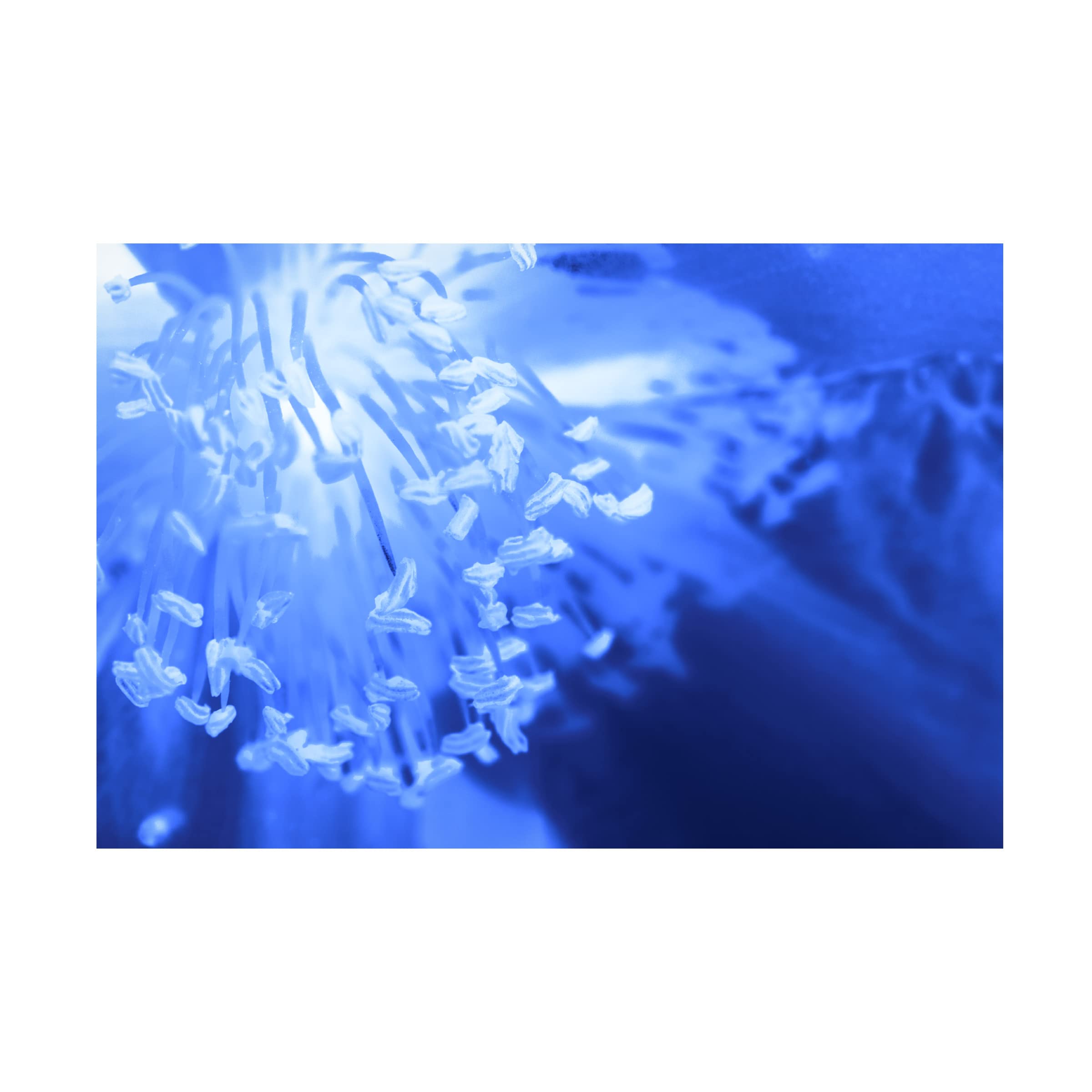Eva Bane 'Sprayed with Blue 01' Abstract Canvas Wall Art - 16x24 Inches - Modern Home Decor for Living Room, Bedroom & Office