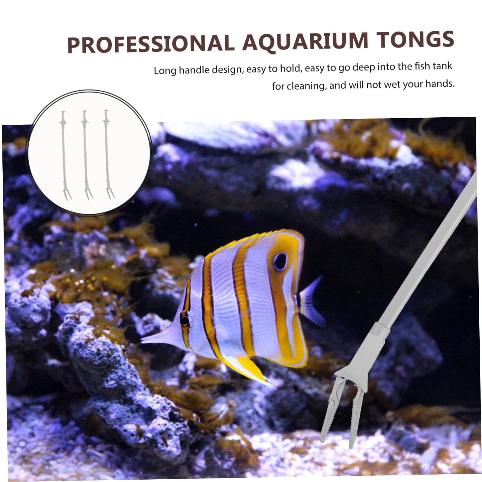 BCOATH 6 Pack Aquatic Plant Clips - Plastic Aquarium Feeding Tongs for Fish Tank, Terrarium, Glass Container - Perfect for Feeding, Trimming & Plant Maintenance in Home Aquariums