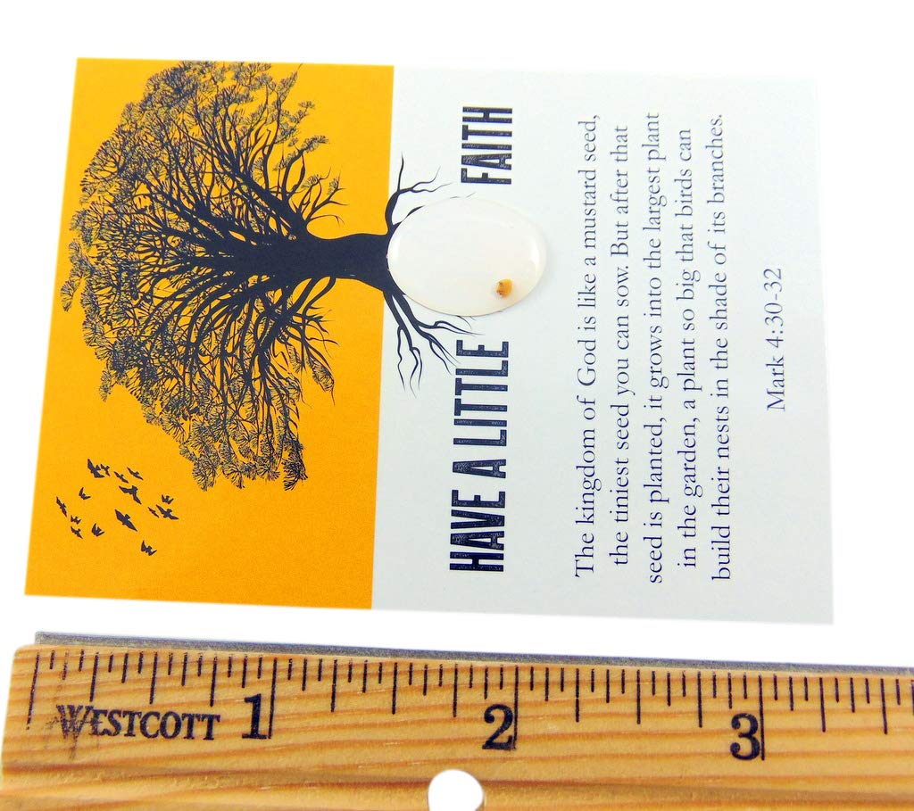 Mustard Seed of Faith Holy Prayer Cards Gift Set - Pack of 10 Inspirational Religious Cards for Bible Study, Church Services & Spiritual Encouragement