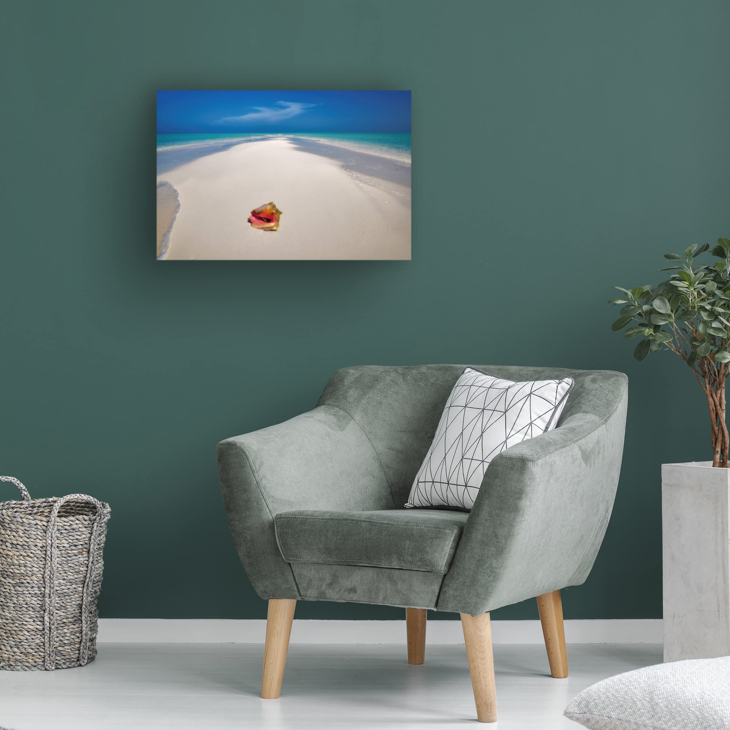 Dennis Frates 'Beach Treasures 5' Canvas Wall Art Print - Coastal Decor for Living Room, Bedroom & Office - Trademark Fine Art Collection