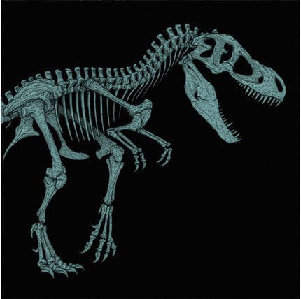 Jurassic Park Original Motion Picture Soundtrack (20th Anniversary Edition) - Limited Collector's Version B | Iconic Film Score by John Williams | Perfect for Movie Nights, Gifts & Soundtrack Collectors