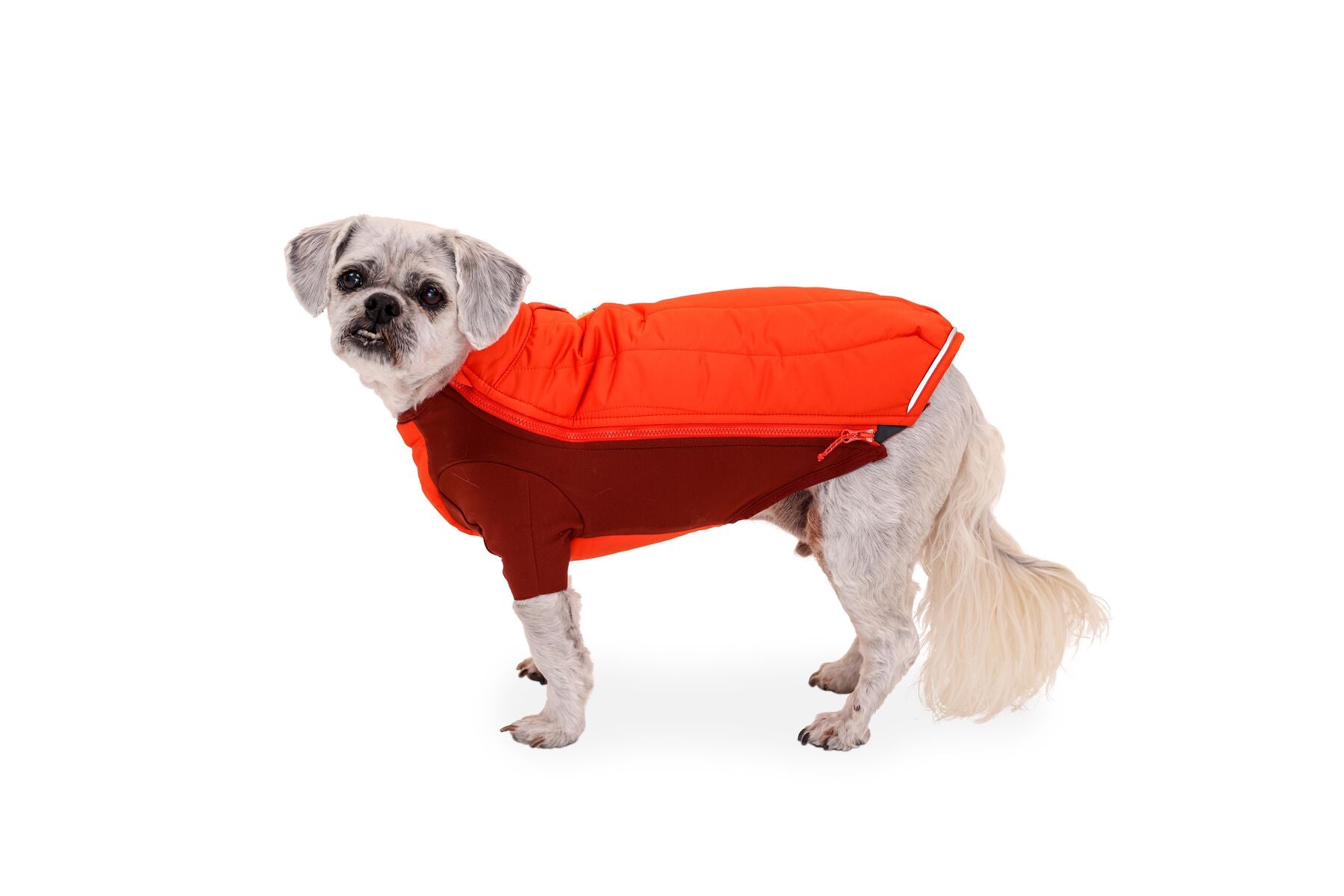 Ruffwear Powder Hound Hybrid Dog Jacket - Waterproof & Insulated Winter Coat for Active Dogs (Persimmon Orange) - Perfect for Hiking, Snow Play & Outdoor Adventures