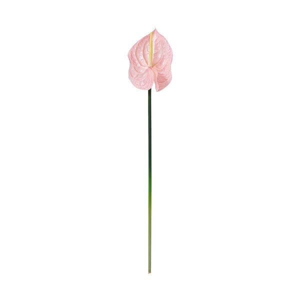 Pink Anthurium Artificial Flower - Elegant Home Decor for Living Room, Wedding, and Office Arrangements