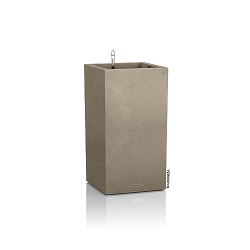 Sandy Beige