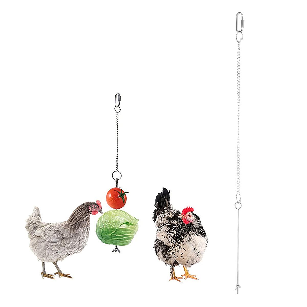 Stainless Steel Parrot Fruit & Vegetable Fork Toy - Bird Feeder Skewer with Tray for Small Birds, Treat Holder for Cockatiels, Lovebirds, Parakeets - Perfect for Cage Enrichment & Healthy Snacking