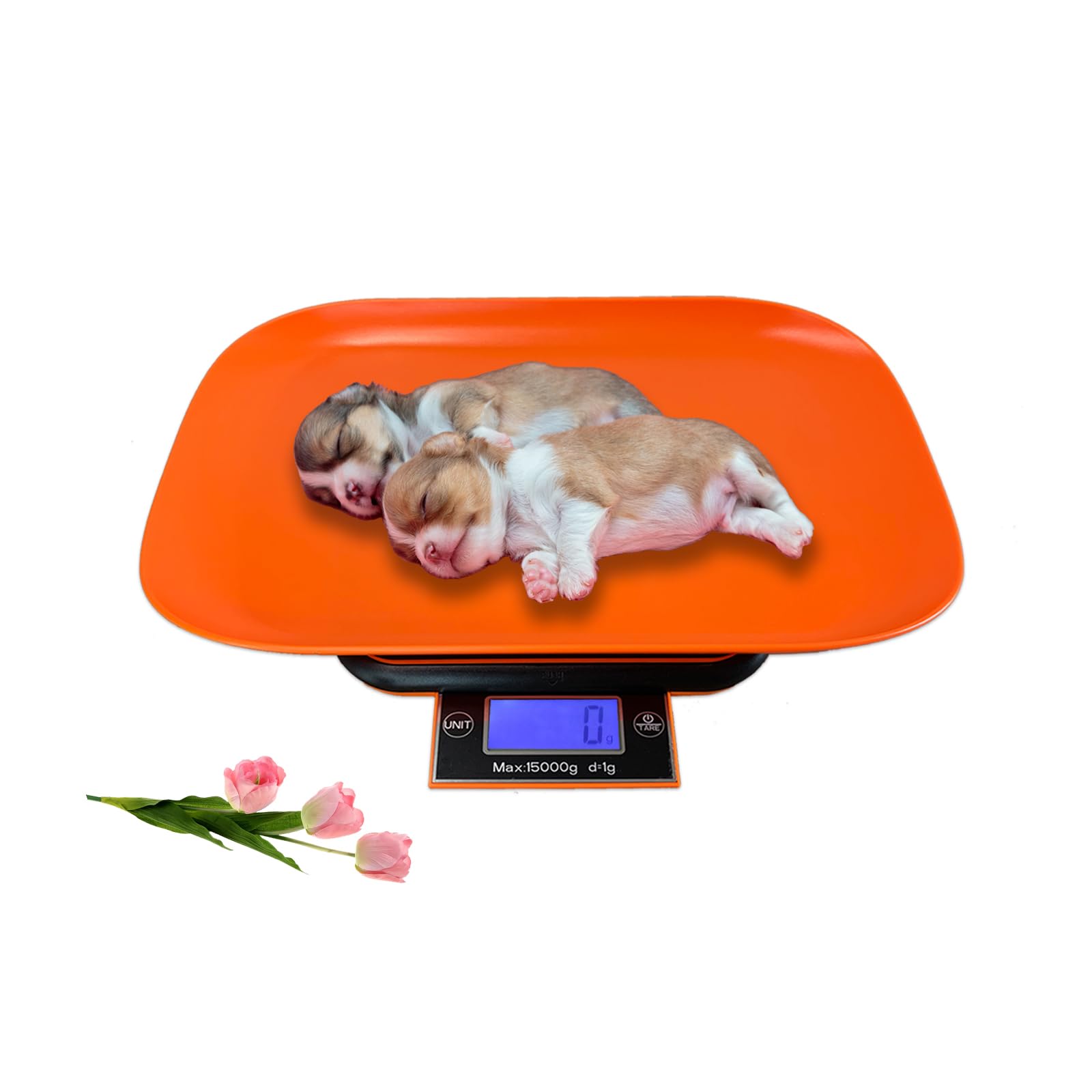 Flyvyan Digital Pet Scale - Accurate Puppy & Kitten Weighing Scale with Foldable LED Display, Small Animal Scale for Dogs, Cats, Rabbits, Hamsters - Removable Tray Kitchen Scale (Orange & Black) - Perfect for Whelping, Vet Visits, and Home Pet Care