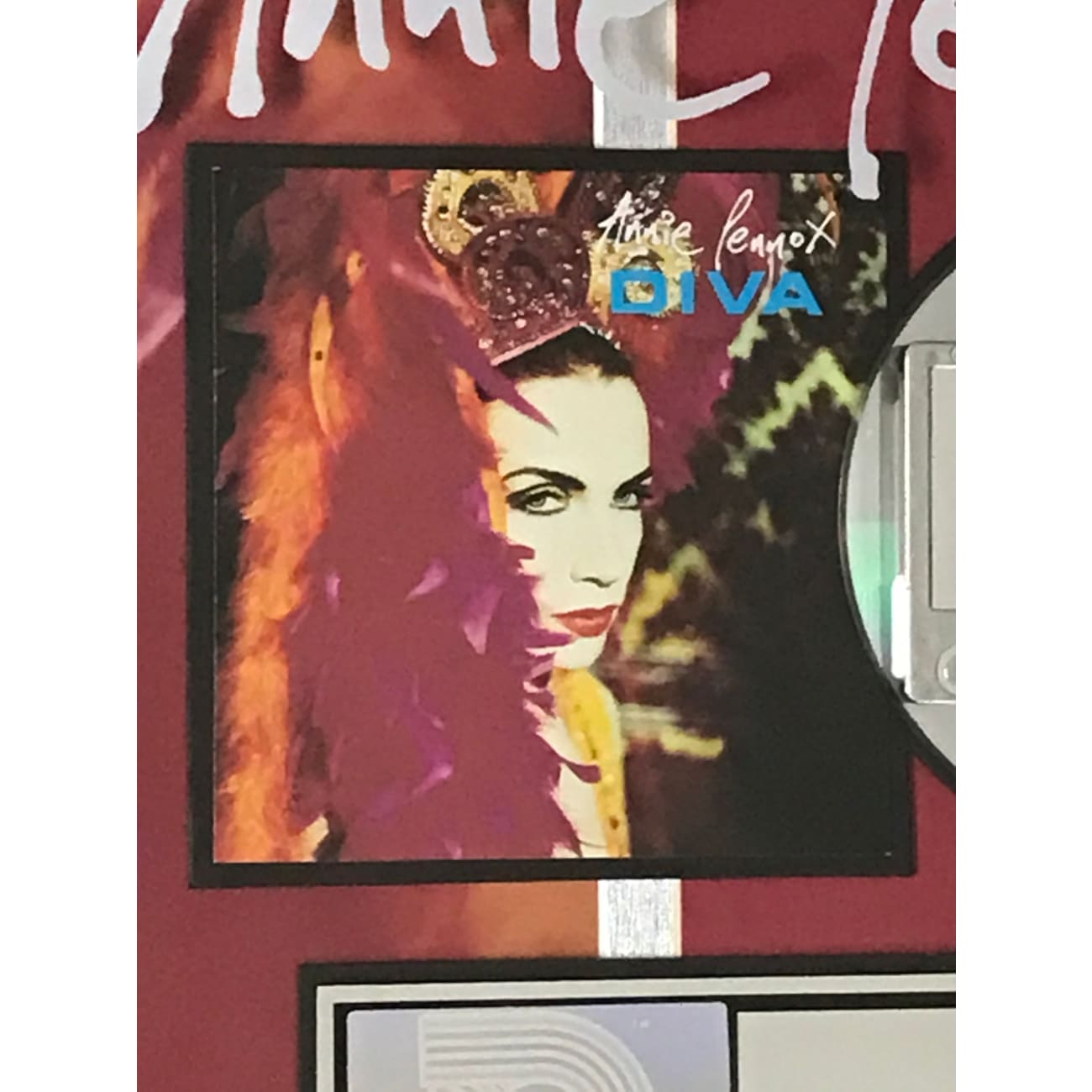 Annie Lennox Diva RIAA Platinum LP Award - Autographed Signed Vinyl Record Collector's Item - Perfect for Music Memorabilia Displays & Eurythmics Fan Collections