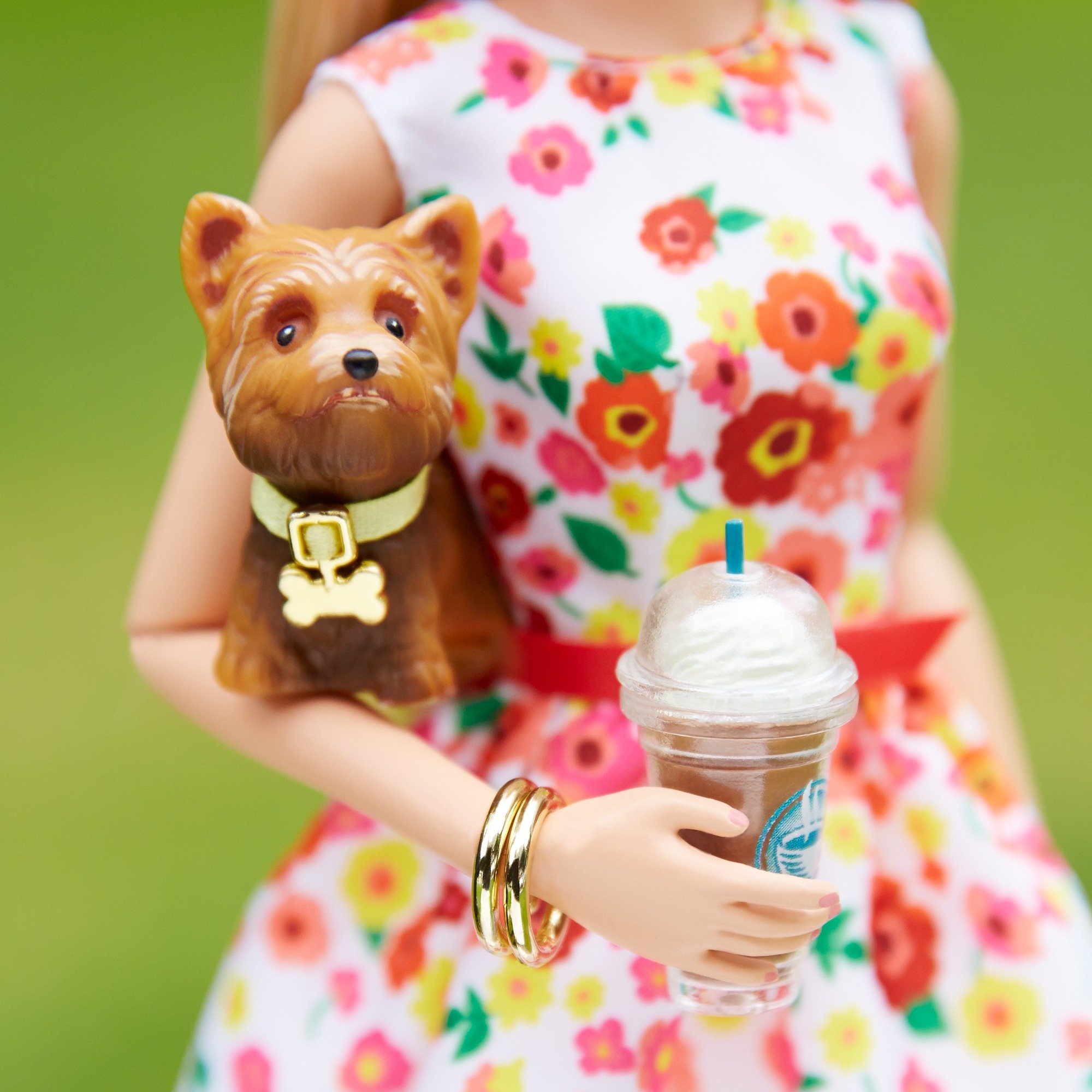 Barbie Collector Doll - Park Pretty for Display & Gifting