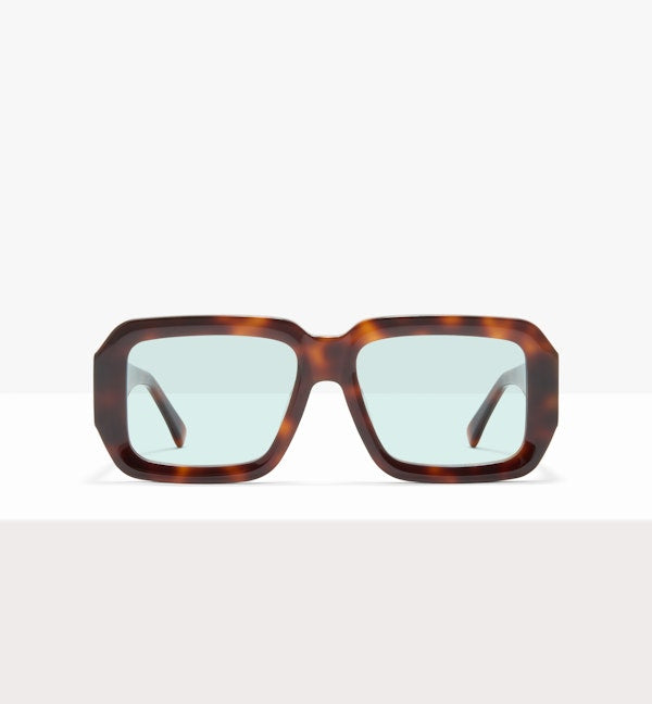 Agamemnon Polarized Sunglasses for Men & Women - UV Protection, Fashionable & Lightweight - Perfect for Driving, Beach & Outdoor Activities