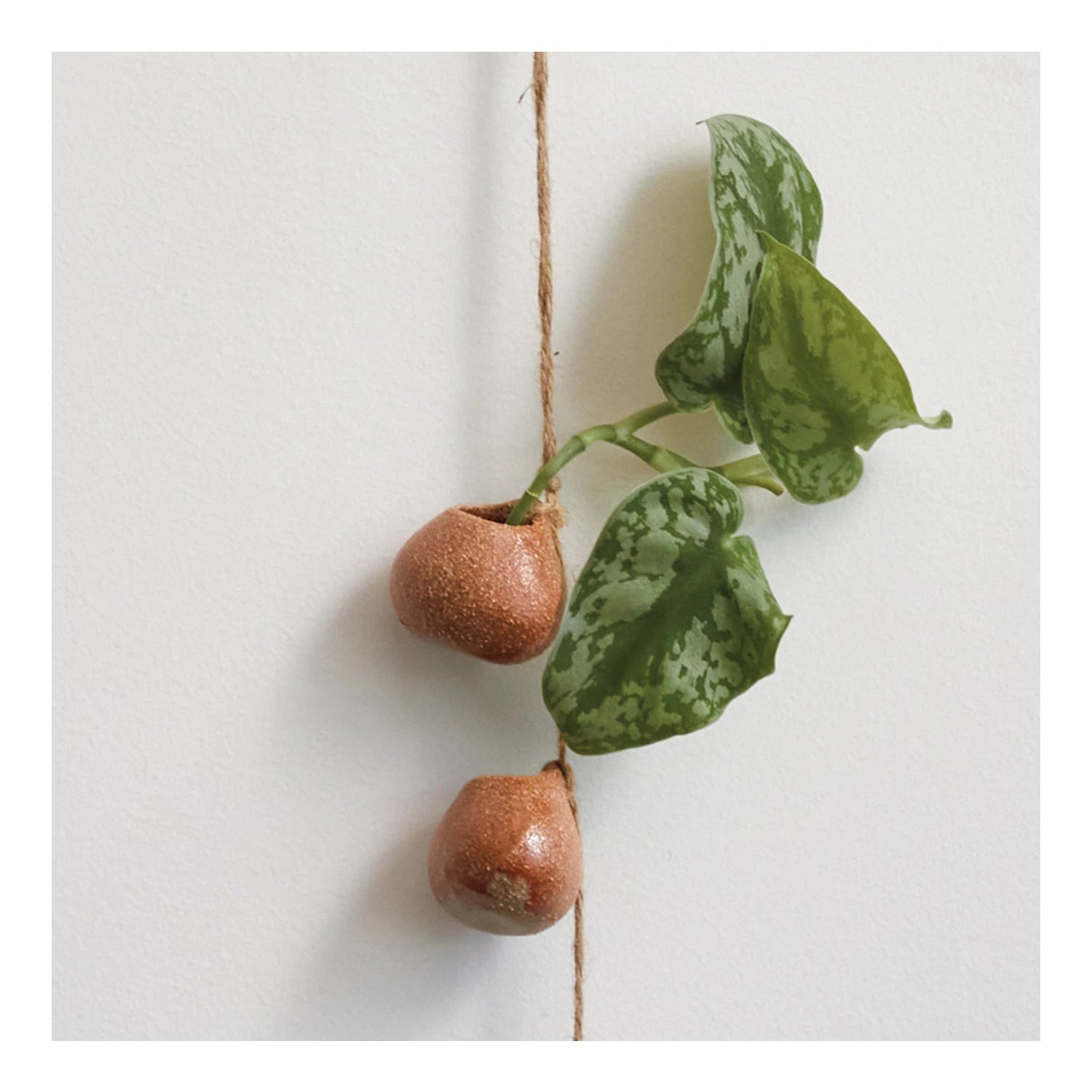 Hanging Mini Pots for Plants - Small Decorative Flower Pots with Hooks for Indoor & Outdoor Use - Perfect for Succulents, Herbs, and Small Flowers