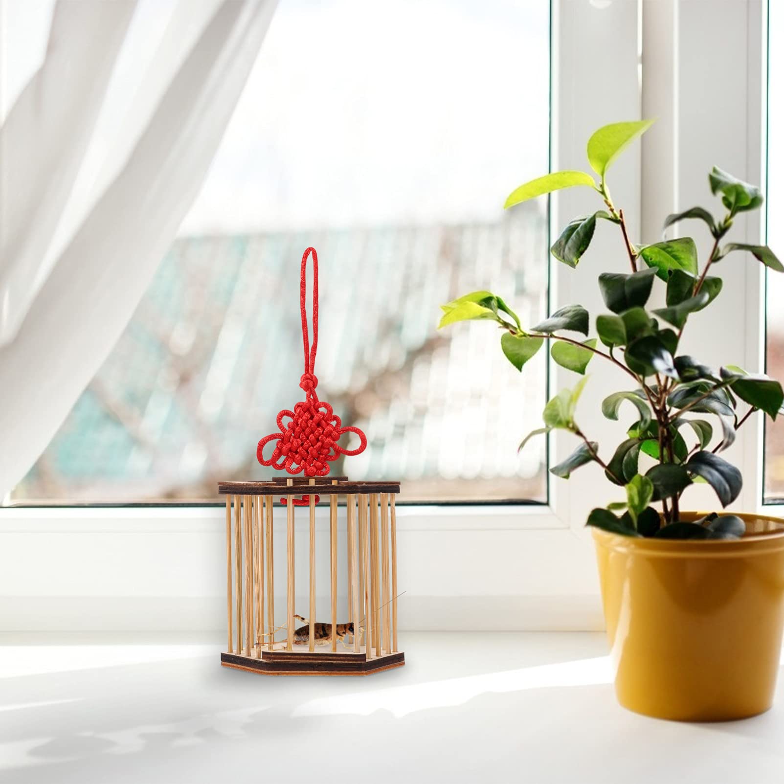 Wooden Cricket Cage - Mini Grasshopper Habitat Box for Outdoor Play & Nature Exploration