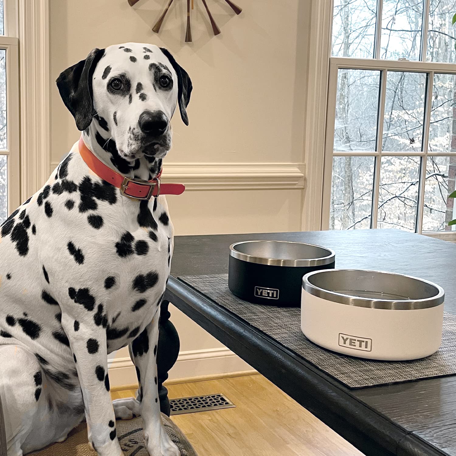 YETI Boomer 8 Stainless Steel Dog Bowl - 64oz Non-Slip Pet Food & Water Dish for Large Dogs - Perfect for Outdoor Adventures, Camping & Home Use