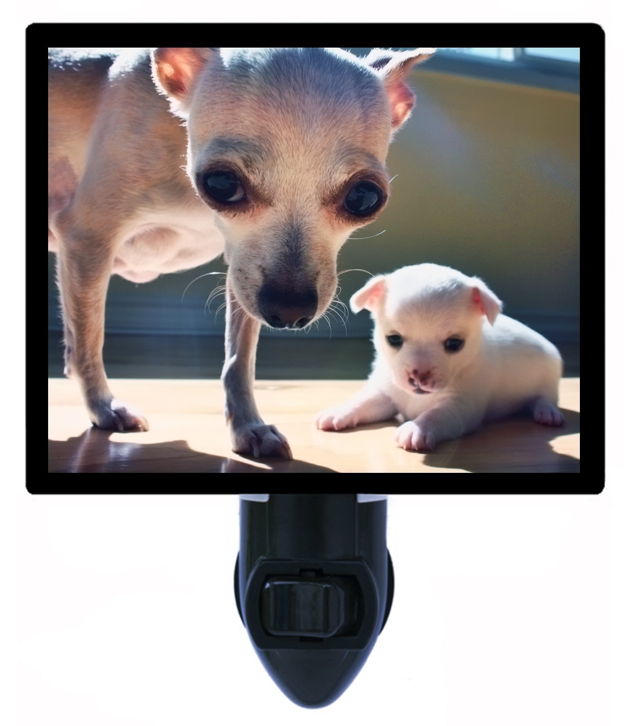 Night Light for Dogs - Soothing Pet Nightlight for Chihuahuas & Small Breeds | Bedroom, Nursery & Hallway Safety Light