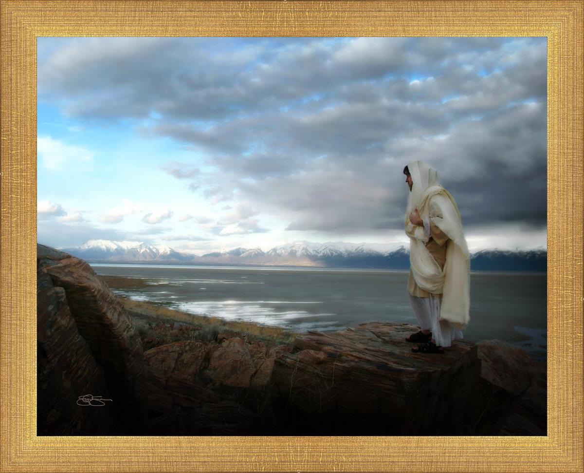 Alone Shepherd Book by Scott Sumner - Inspirational Christian Fiction for Personal Growth & Faith Journey | Perfect for Book Clubs, Bible Study Groups & Quiet Reflection Time