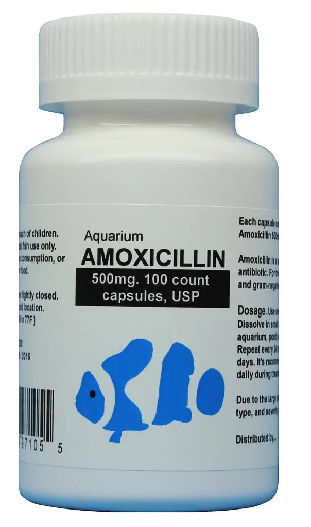Thomas Labs Fish Amoxicillin 500mg Antibiotic Capsules - 100 Count for Aquarium Fish Bacterial Infections Treatment