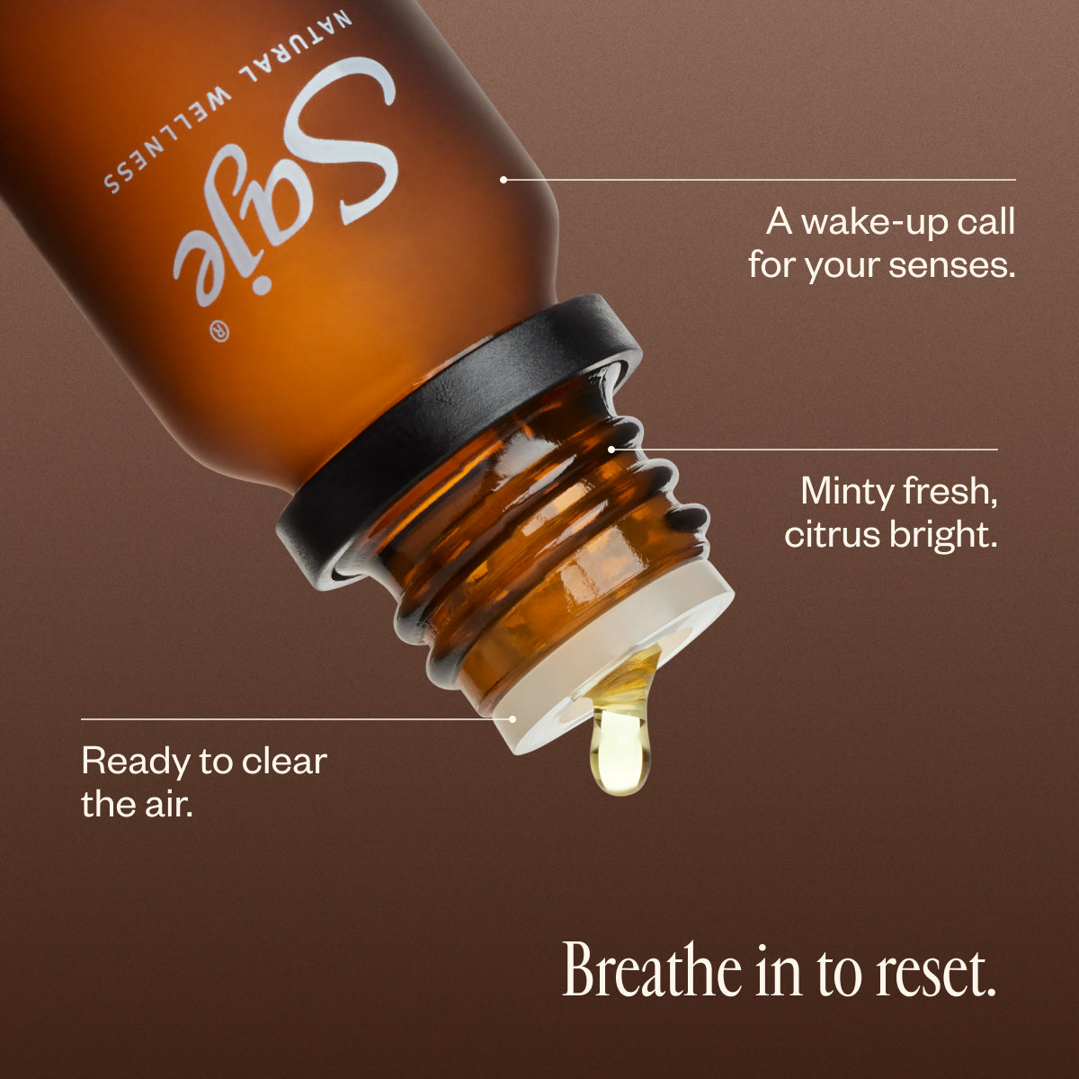 Refresh Revitalizing Essential Oil Diffuser Blend - Uplifting Aromatherapy for Home, Office & Spa - Boost Mood & Energy Naturally