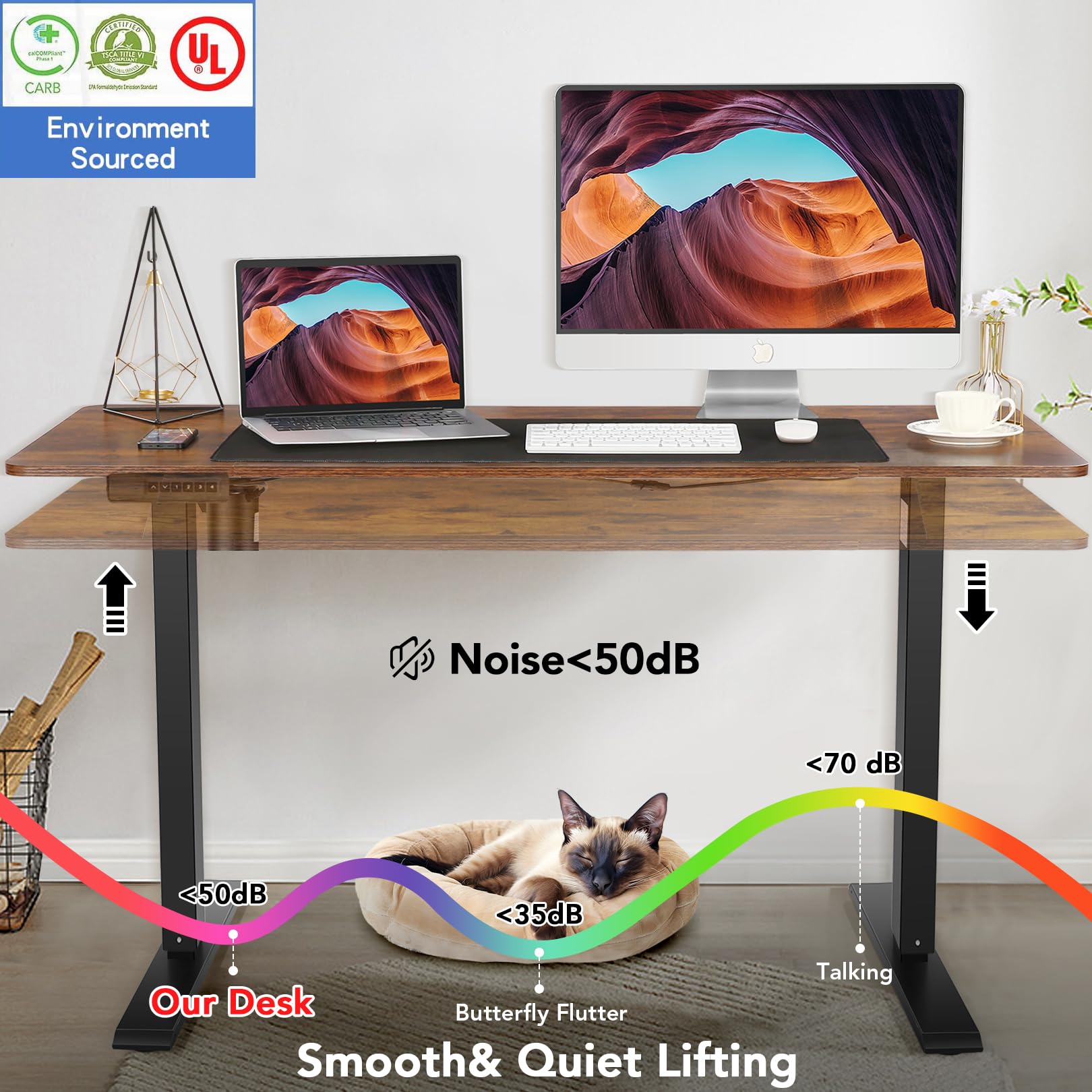 Farexon 48x24 Inches Electric Standing Desk - Adjustable Height Sit Stand Computer Desk with Double Metal Hooks, 4 Memory Preset Settings (27