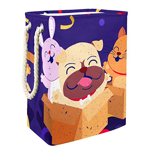 Collapsible Pet Toy Storage Box for Cats, Dogs & Rabbits - Foldable Organizer Bin for Dog Toys, Kids Toys, Blankets & Clothes (19x11.8x16 Inches) - Perfect for Living Room, Bedroom & Nursery Organization