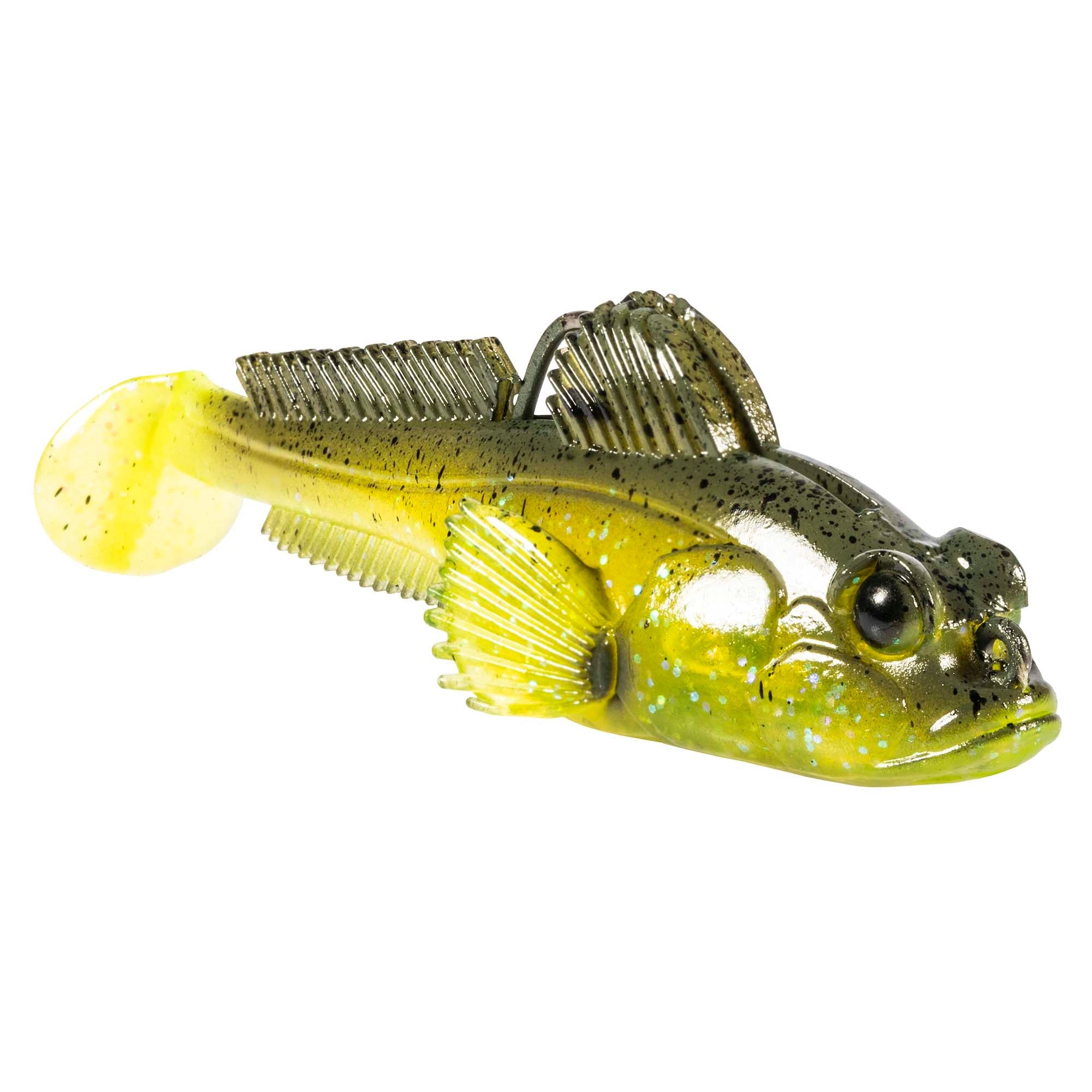 Green Pumpkin Goby