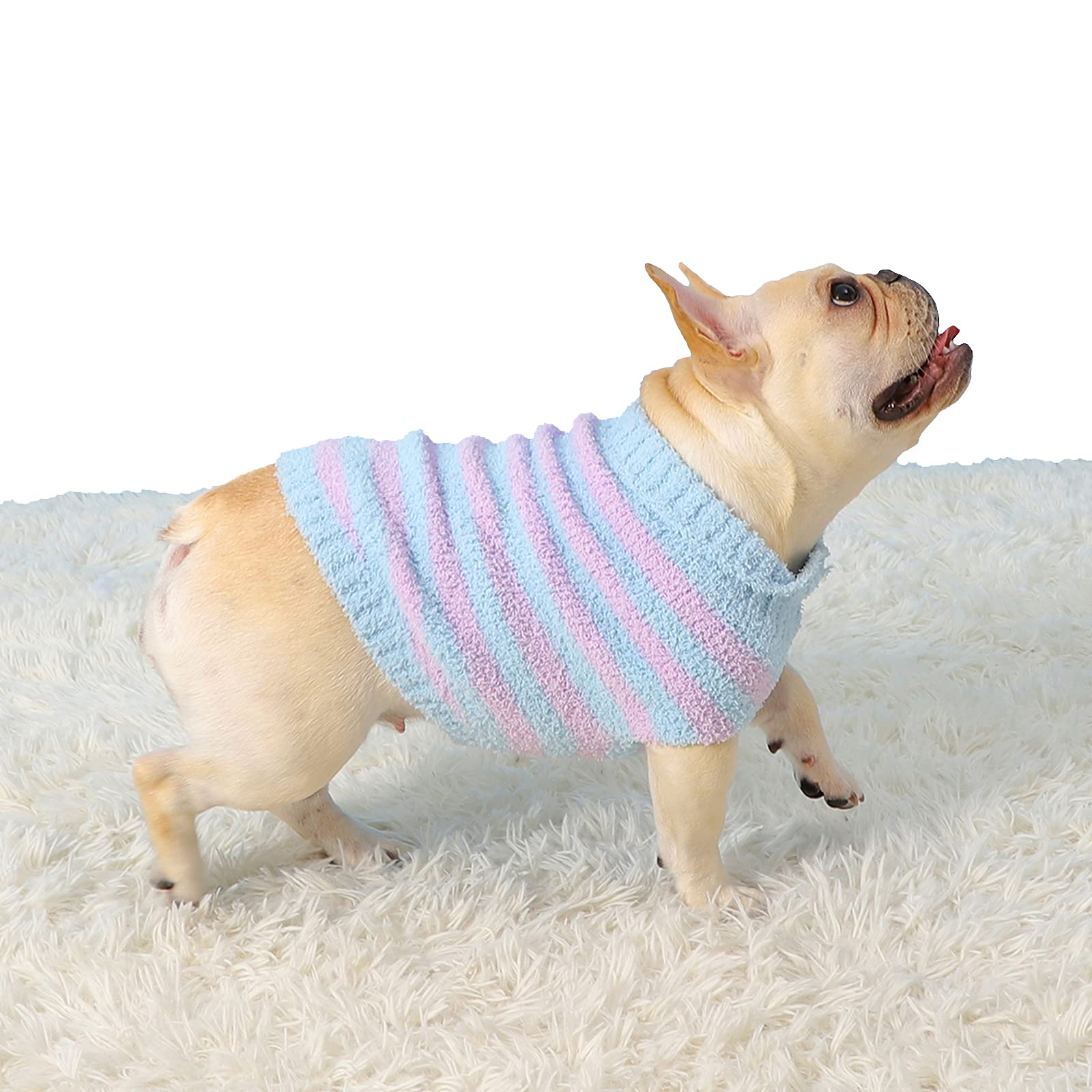 Camidy Dog Sweater - Warm Striped Knit Pullover for Small & Medium Dogs | Cozy Winter Pet Apparel for Indoor & Outdoor Activities