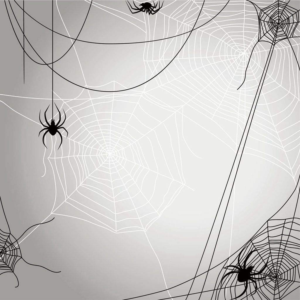 5D Diamond Painting Kit - Halloween Spider Web Design, 12x12 Inch Black & White Full Drill Cross Stitch Canvas | Spooky Cartoon Art Craft for Home Decor, DIY Gift & Halloween Party Decoration