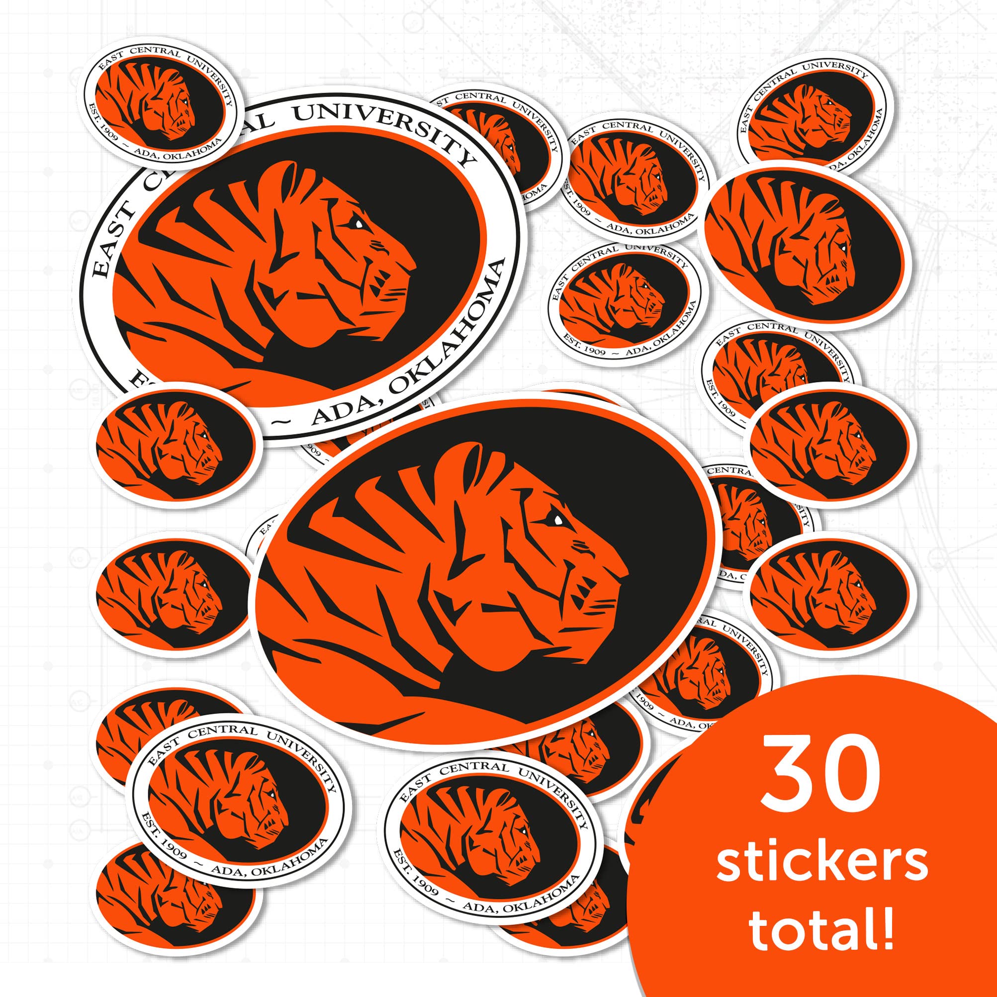 Desert Cactus East Central University Sticker - ECOK Tigers Vinyl Decals for Laptop, Water Bottle, Car & Scrapbook - Durable Waterproof Decal - Perfect for School Spirit, Gifts & DIY Crafts (Type 1-1)