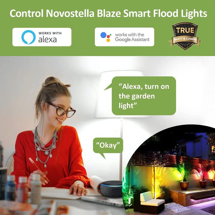 NOVOSTELLA 25W Smart Flood Light (1 Pack) - Outdoor Security Lighting, Motion Sensor, IP65 Waterproof for Garden, Yard, and Driveway