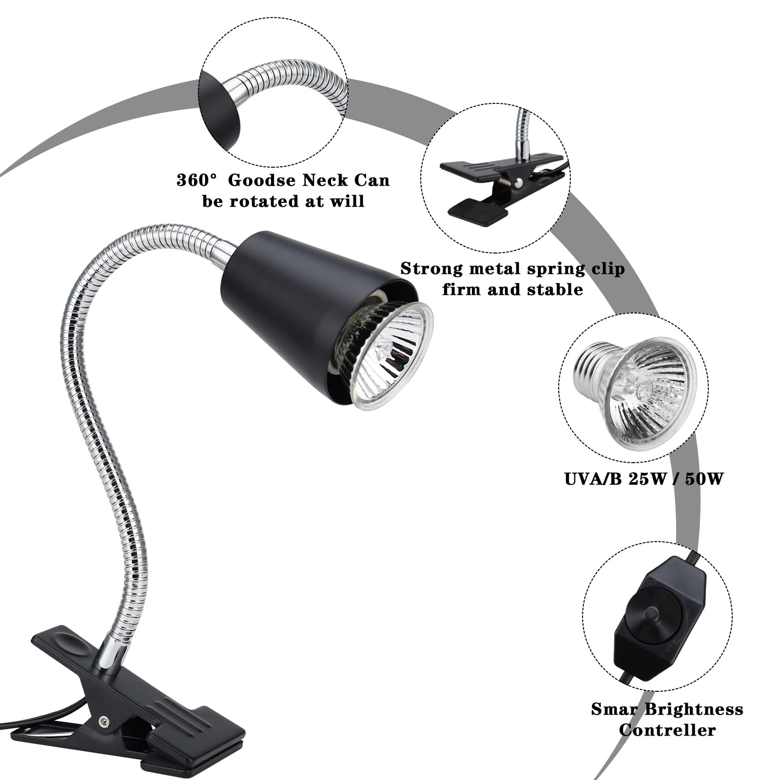 Reptile Heat Lamp with Clamp - UVA/UVB Basking Light for Bearded Dragons, Turtles, Snakes & Lizards | 360° Rotatable Clip & 2 Heat Bulbs Included | Ideal for Terrariums, Vivariums & Reptile Habitats