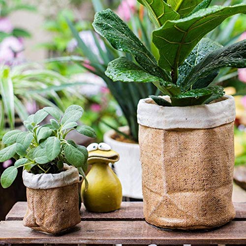 Rustic Reach Paper Bag Style Concrete Garden Pot - Decorative Planters for Indoor & Outdoor Plants, Succulents, Flowers - Perfect for Patio, Balcony, and Home Decor