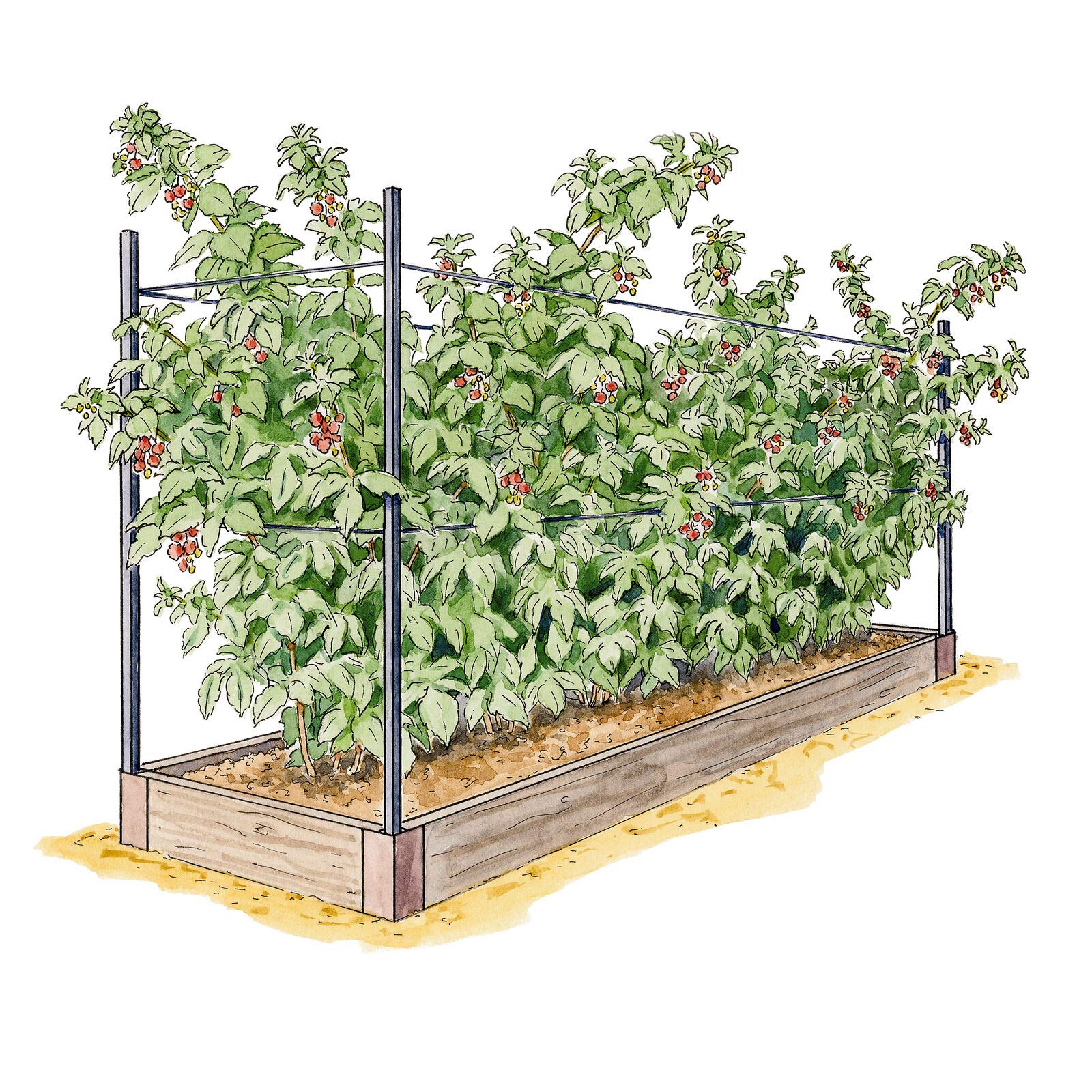 Raised Garden Bed Kit for Raspberries - Durable Outdoor Gardening Planter Box with Easy Assembly - Perfect for Backyard, Patio, and Small Space Gardening