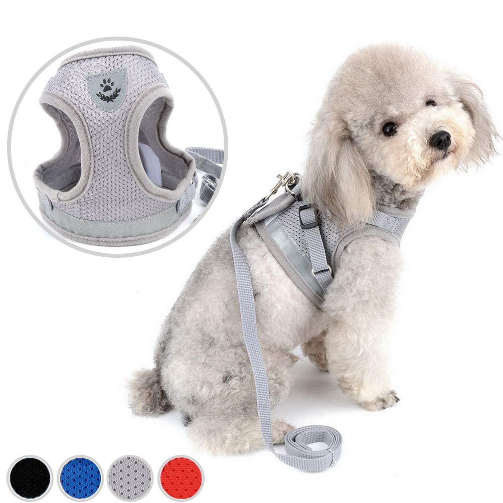 Zunea No Pull Reflective Adjustable Small Dog Harness & Leash Set - Soft Mesh Padded Step-in Puppy Vest for Walking, Escape Proof Cat Harness for Dogs & Kittens (Gray) - Perfect for Outdoor Adventures, Park Visits & Daily Walks