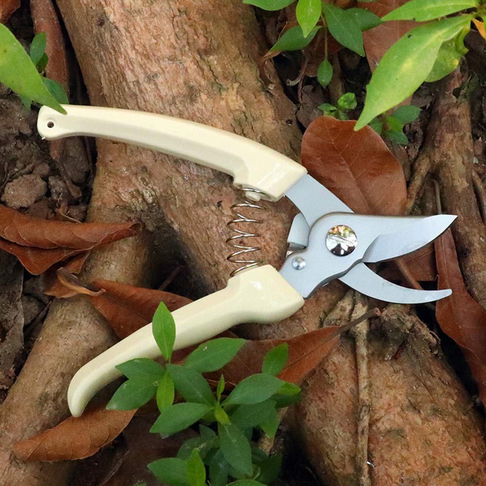AKOAK 1 Pack Professional Gardening Scissors - Precision Trimmers for Fruit Trees, Branches, Flowers & Bonsai Plants | Ideal for Grafting, Pruning & Plant Care | Perfect for Home Gardeners & Landscaping Enthusiasts