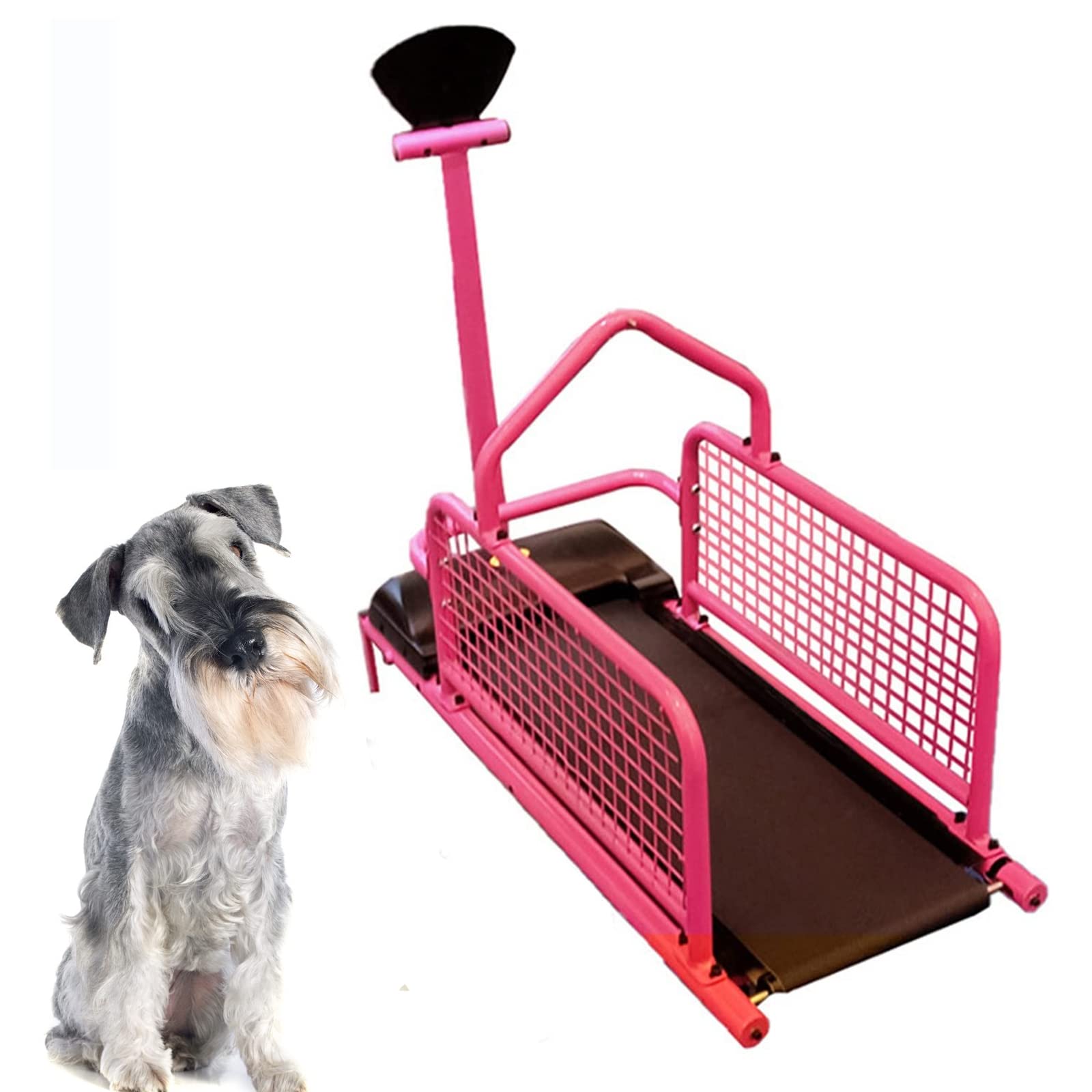 PIMRRU Small Dog Treadmill - Pet Exercise Machine with LED Display for Indoor Training & Weight Loss | Compact Dog Walker for Home Use & Apartment Living