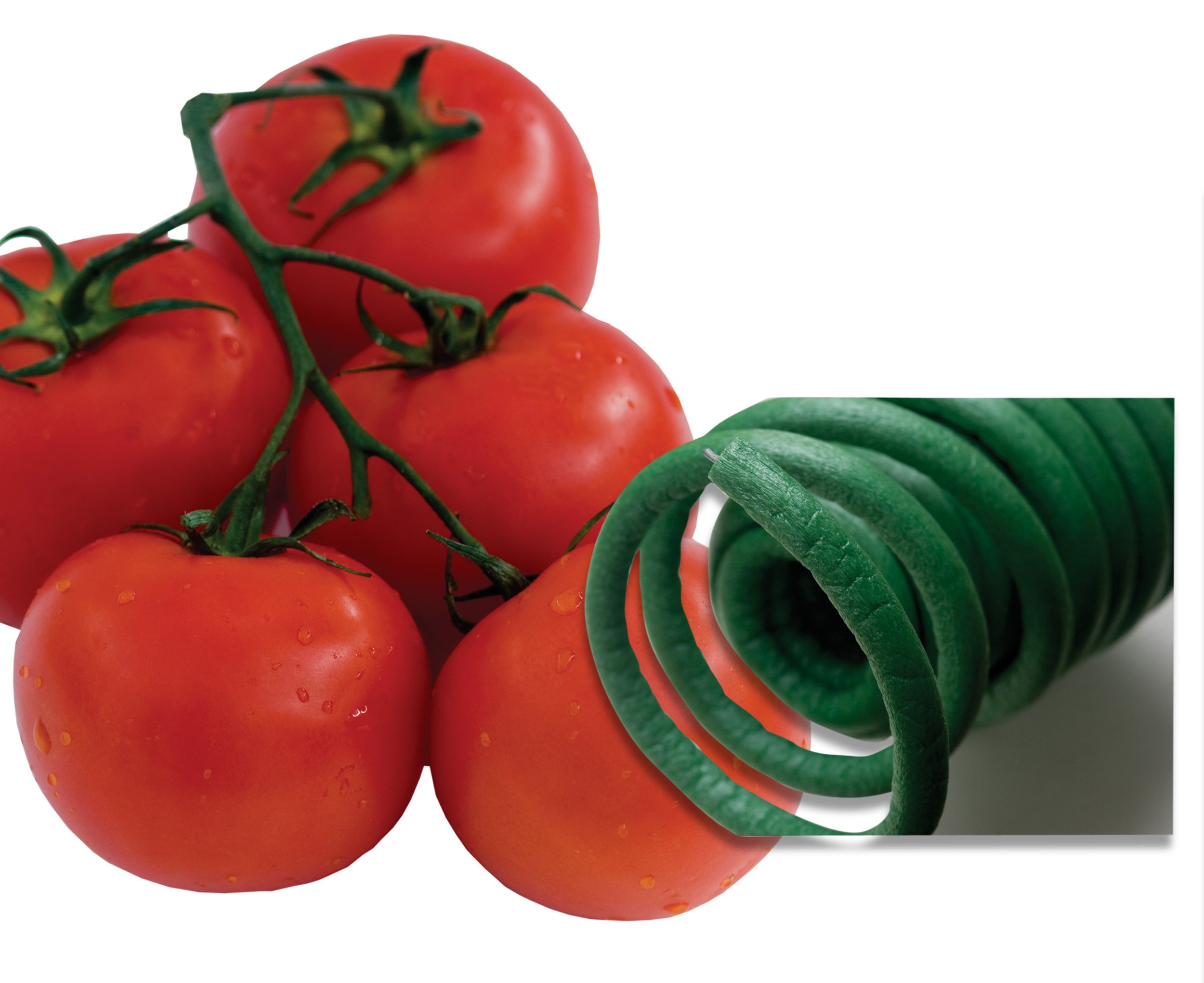 Luster Leaf RapidClip Foam Wire Ties - 50 Pack, Soft Plant Support for Garden, Greenhouse & Indoor Plants - Gentle on Stems, Reusable & Weatherproof