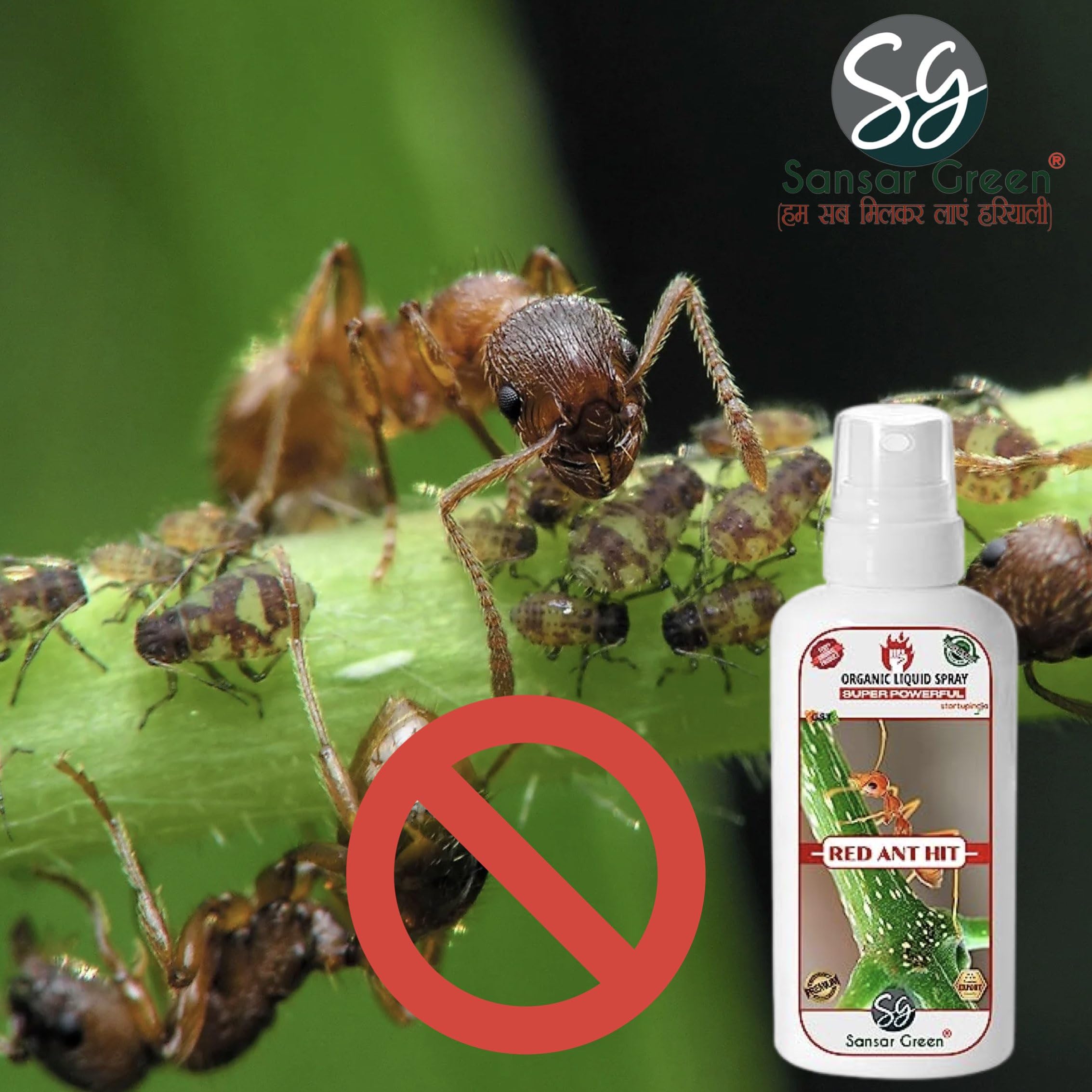 Sansar Green® Red Ant Killer Spray - Powerful Liquid Insecticide for Eliminating Red Ants & Pests on Plants (100ml) | Indoor & Outdoor Garden Protection