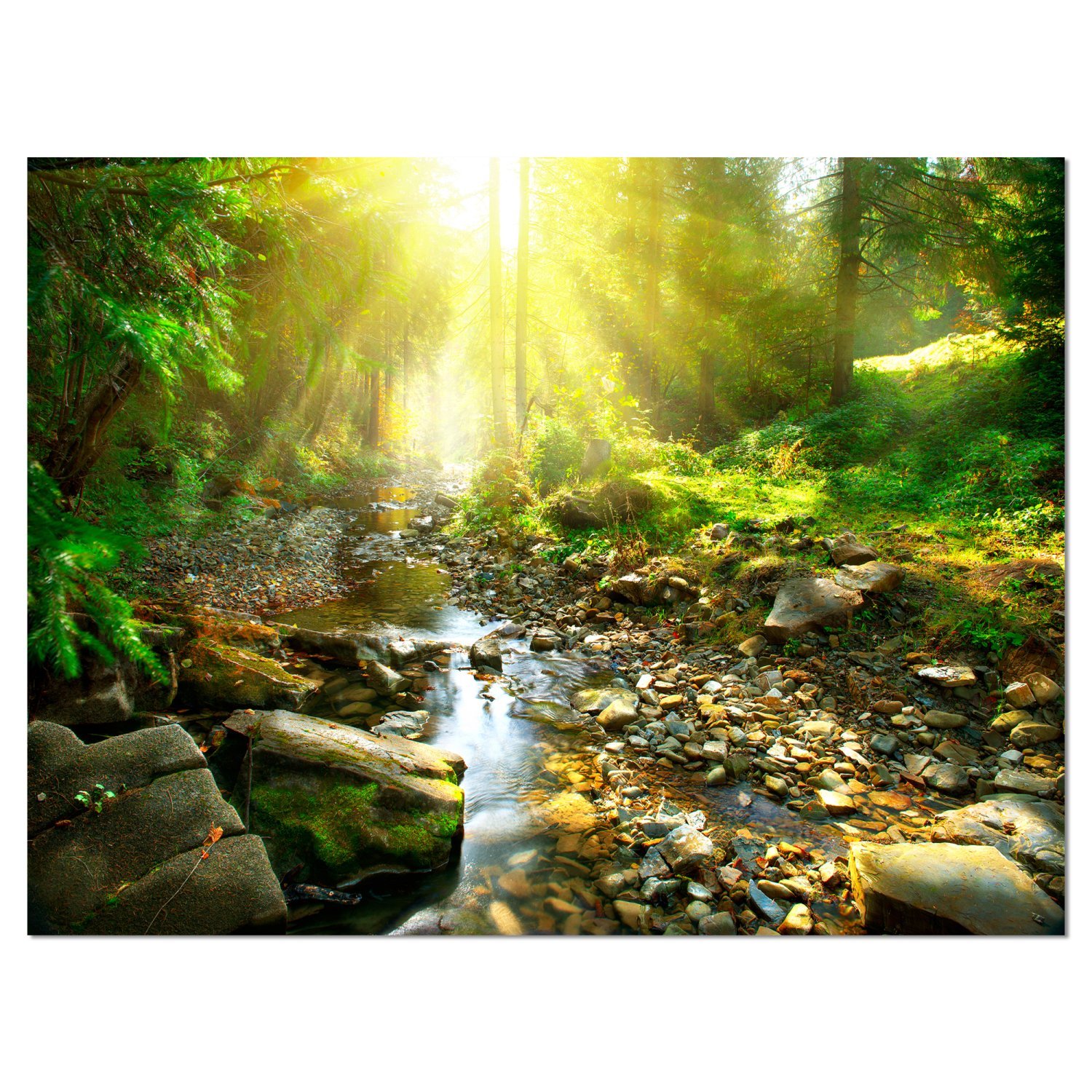 Stunning Mountain Stream in Forest Landscape Photography Canvas Print - Nature Wall Art for Living Room, Bedroom & Office Decor