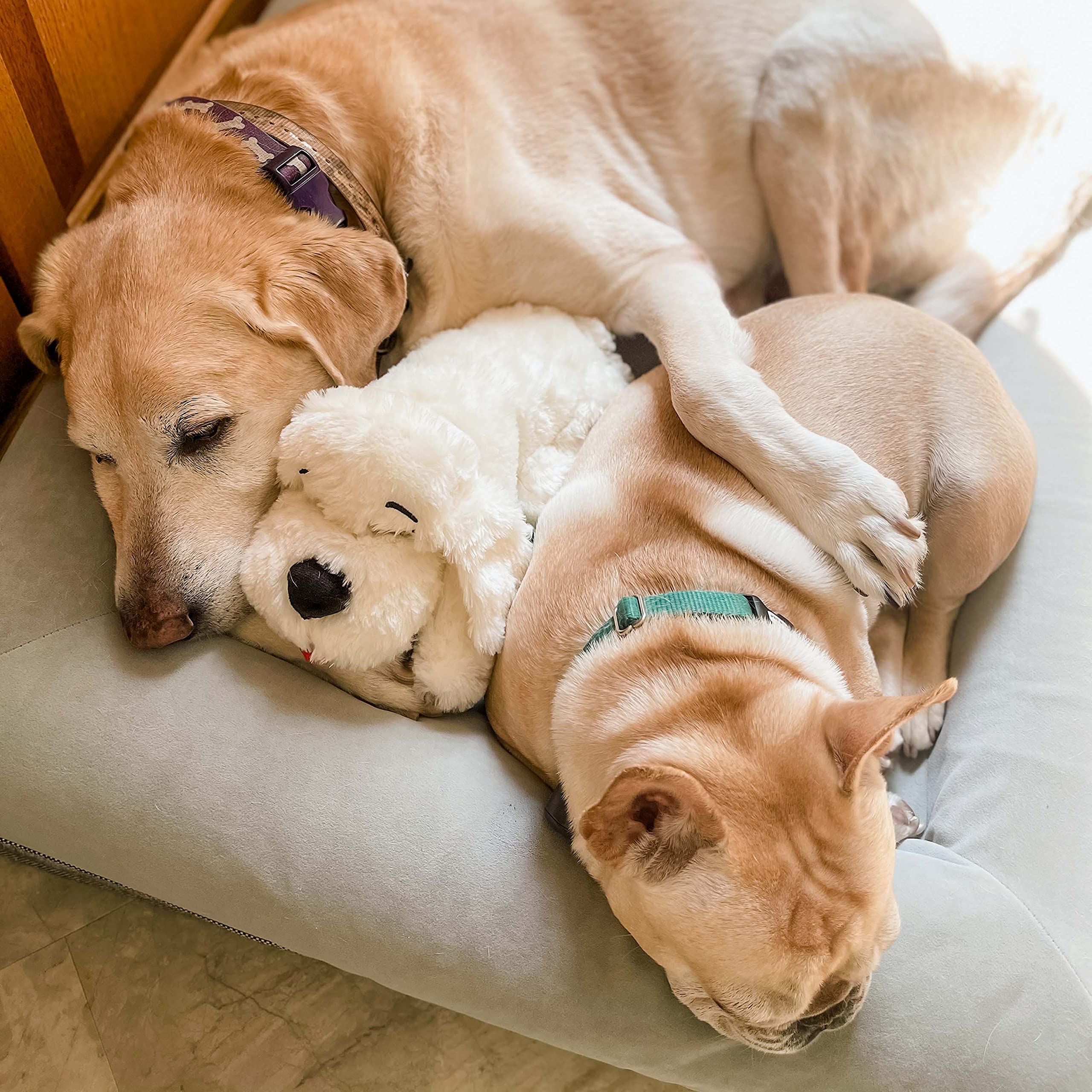 SmartPet Love Snuggle Puppy with Extra Heat Pack Bundle - 6-Pack Pet Heating Pads for Anxiety Relief & Comfort | Perfect for Puppies, Dogs, and Anxious Pets at Home or Travel