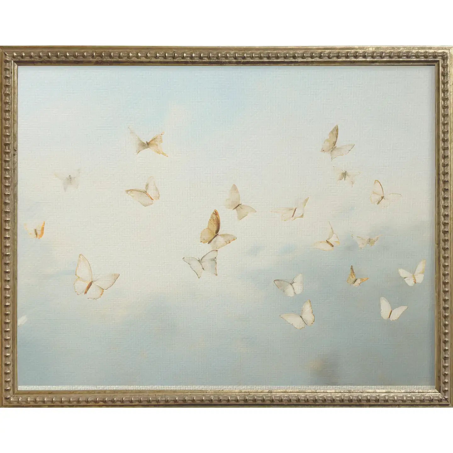 Butterflies Gallery Framed Wall Art - Vintage Butterfly Collection for Home Decor, Living Room, Bedroom & Office