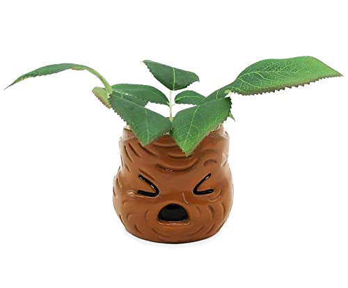 Mandrake Face