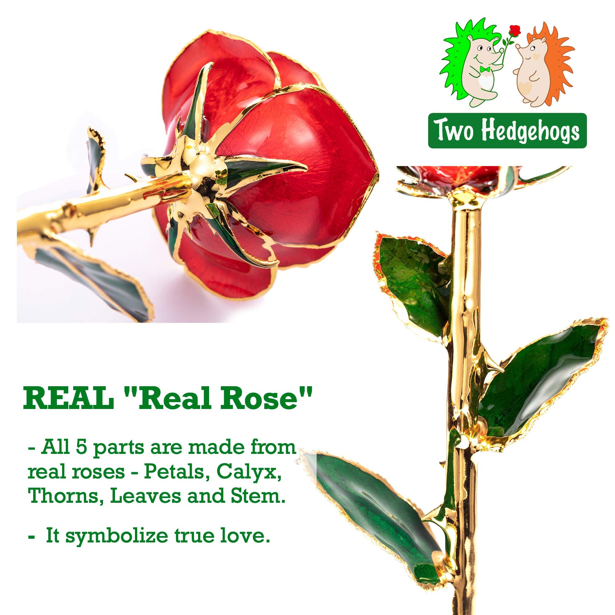 24K Gold Dipped Real Rose in Luster Red - Luxury Anniversary & Valentine's Day Gift for Wife with Crystal Stand | Romantic Home Decor, Wedding Centerpiece, Special Occasion Present