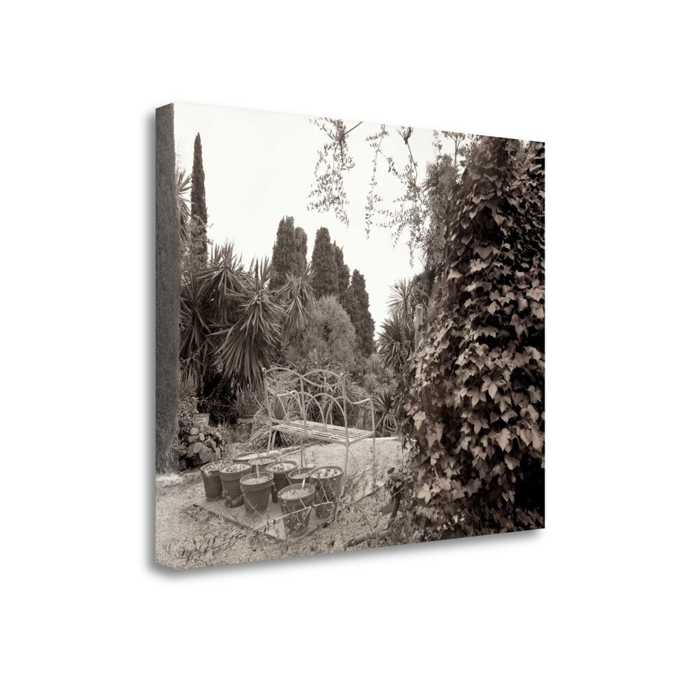 Alan Blaustein 62 Garden Bench Giclee Print on Gallery Wrap Canvas - Perfect for Home Decor, Living Room Wall Art & Outdoor Patio Decorations